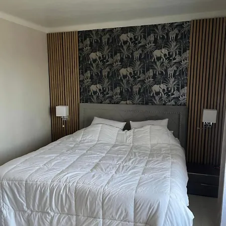 Grand 2 Pieces Ensoleille Apartment *