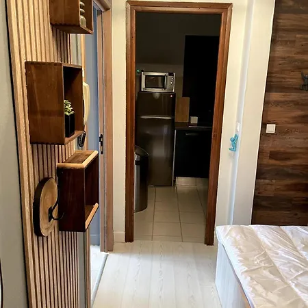 Grand 2 Pieces Ensoleille Apartment