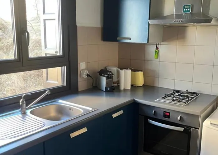 Grand 2 Pieces Ensoleille Apartment *
